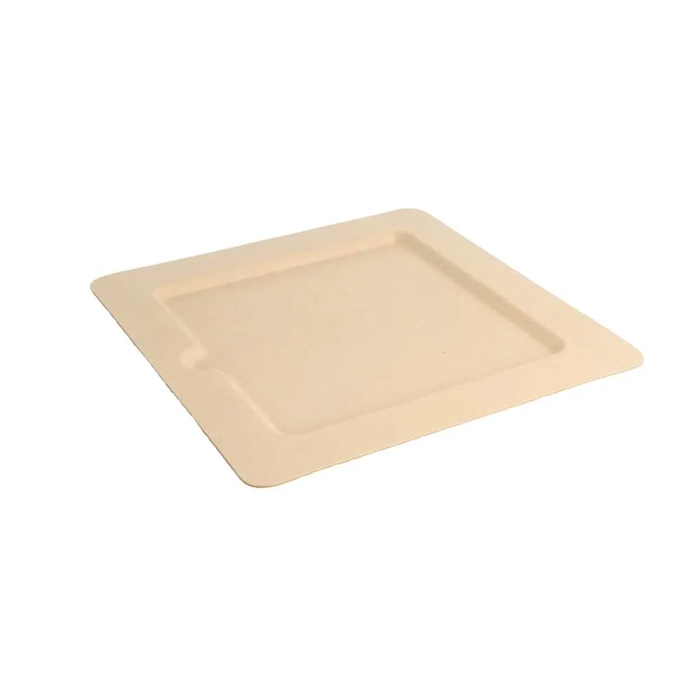 Platos cuadrados 'bionic' 20x20x1 cm natural bagazo